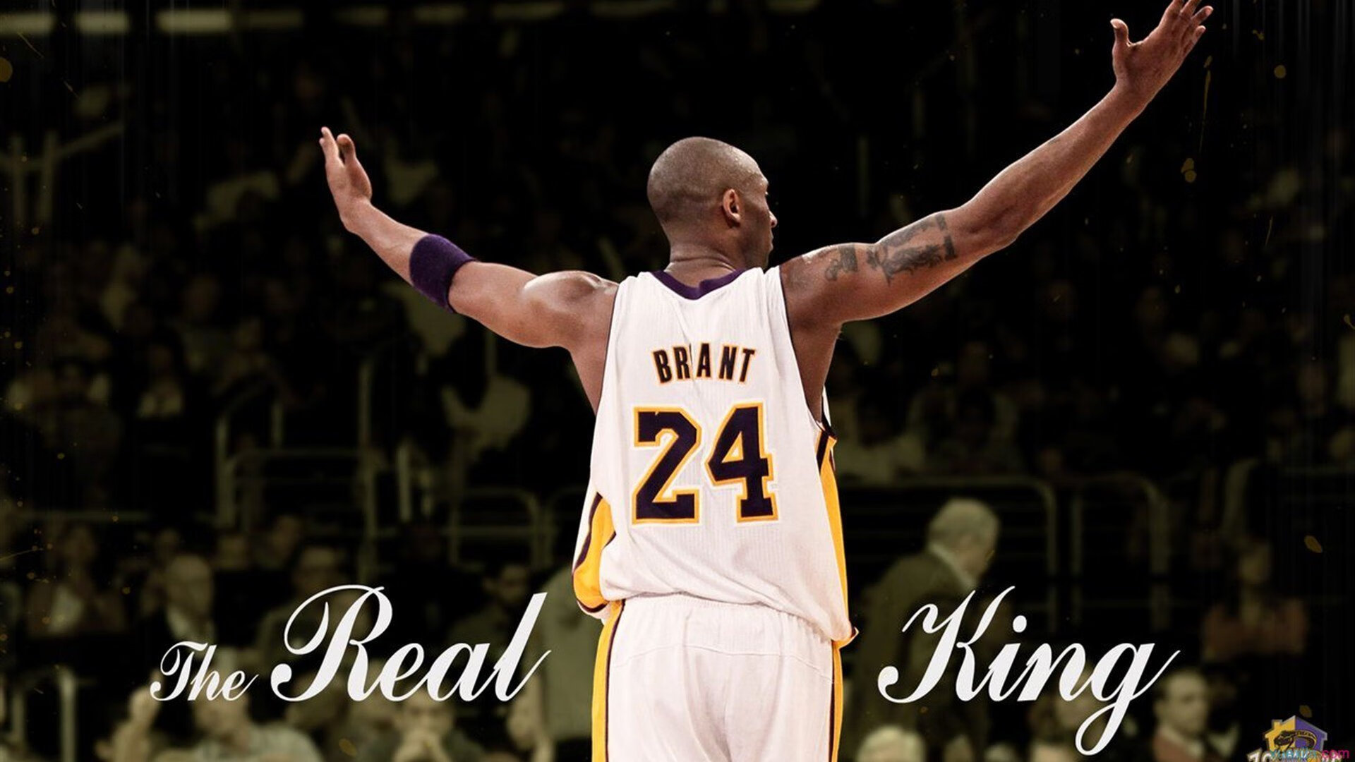 开云体育APP下载-伦纳德撕裂防线如入无人之境,凯尔特人战术铁笼锁死魔术